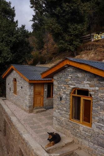 whatsapp_image_2024-12-05_at_1